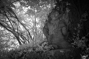 大山阿夫利神社の不動明王｜2016年｜宇都宮市大谷町 撮影＝大洲大作 (C)Daisaku Oozu